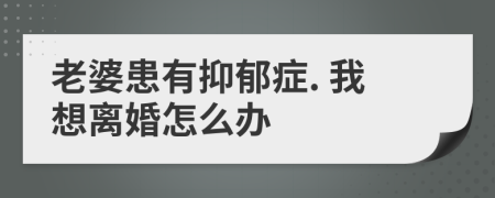 老婆患有抑郁症. 我想离婚怎么办
