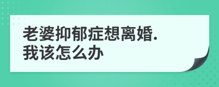 老婆抑郁症想离婚. 我该怎么办