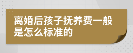 离婚后孩子抚养费一般是怎么标准的