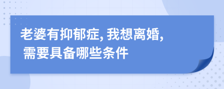 老婆有抑郁症, 我想离婚, 需要具备哪些条件