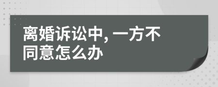 离婚诉讼中, 一方不同意怎么办