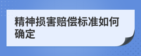 精神损害赔偿标准如何确定