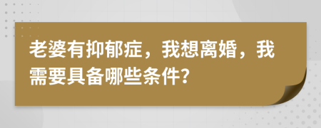 老婆有抑郁症，我想离婚，我需要具备哪些条件？