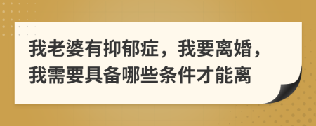 我老婆有抑郁症，我要离婚，我需要具备哪些条件才能离