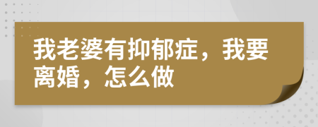 我老婆有抑郁症，我要离婚，怎么做