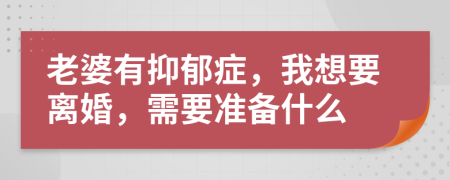 老婆有抑郁症，我想要离婚，需要准备什么