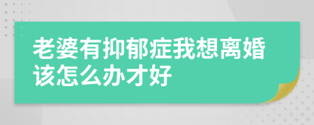 老婆有抑郁症我想离婚该怎么办才好