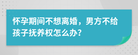 怀孕期间不想离婚，男方不给孩子抚养权怎么办？