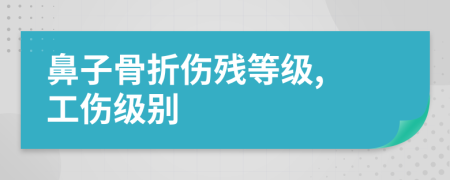 鼻子骨折伤残等级, 工伤级别