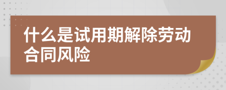 什么是试用期解除劳动合同风险