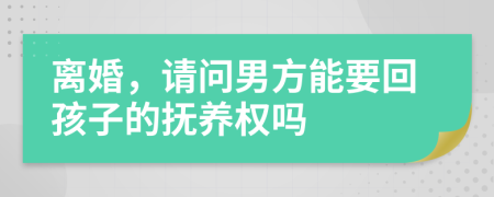 离婚，请问男方能要回孩子的抚养权吗