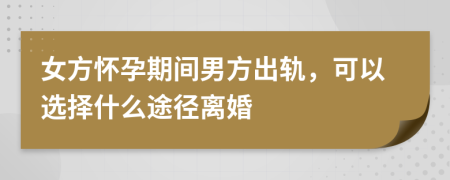 女方怀孕期间男方出轨，可以选择什么途径离婚