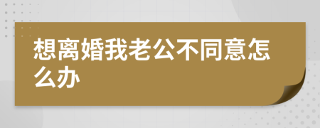 想离婚我老公不同意怎么办