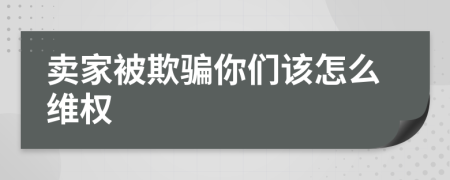 卖家被欺骗你们该怎么维权