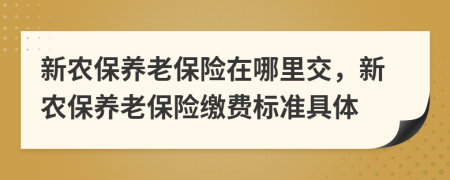 新农保养老保险在哪里交，新农保养老保险缴费标准具体