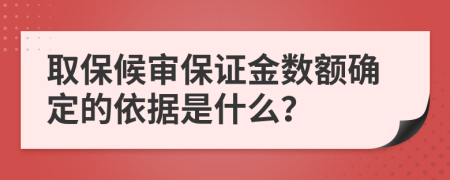 取保候审保证金数额确定的依据是什么？