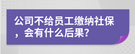 公司不给员工缴纳社保，会有什么后果？