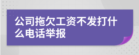 公司拖欠工资不发打什么电话举报