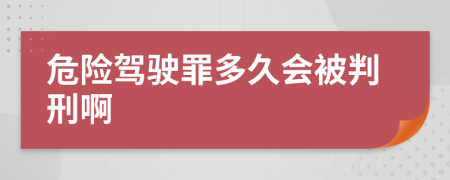 危险驾驶罪多久会被判刑啊