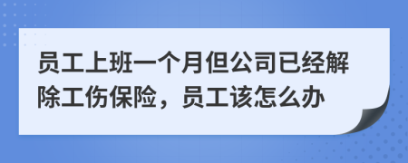 员工上班一个月但公司已经解除工伤保险，员工该怎么办