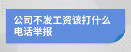 公司不发工资该打什么电话举报