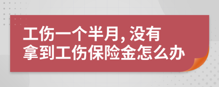 工伤一个半月, 没有拿到工伤保险金怎么办