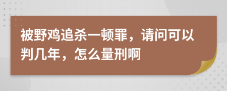 被野鸡追杀一顿罪，请问可以判几年，怎么量刑啊