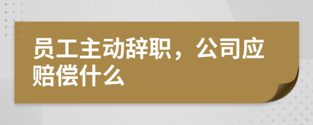 员工主动辞职，公司应赔偿什么