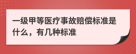 一级甲等医疗事故赔偿标准是什么，有几种标准