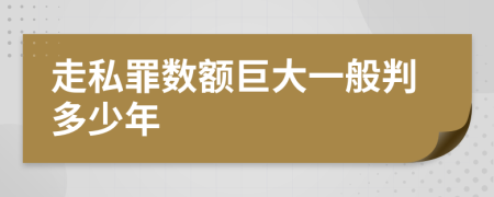 走私罪数额巨大一般判多少年