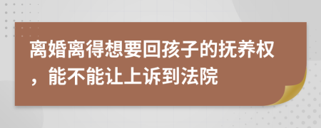 离婚离得想要回孩子的抚养权，能不能让上诉到法院