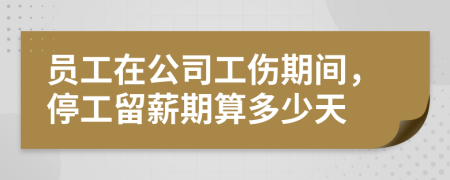 员工在公司工伤期间，停工留薪期算多少天