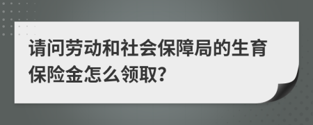 请问劳动和社会保障局的生育保险金怎么领取？