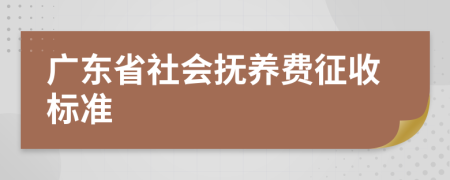  广东省社会抚养费征收标准