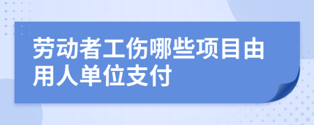 劳动者工伤哪些项目由用人单位支付