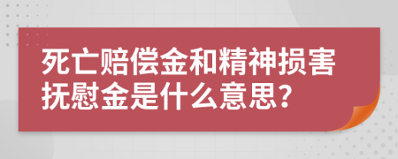 死亡赔偿金和精神损害抚慰金是什么意思？