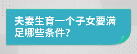 夫妻生育一个子女要满足哪些条件？