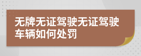 无牌无证驾驶无证驾驶车辆如何处罚
