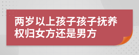 两岁以上孩子孩子抚养权归女方还是男方