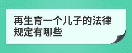 再生育一个儿子的法律规定有哪些