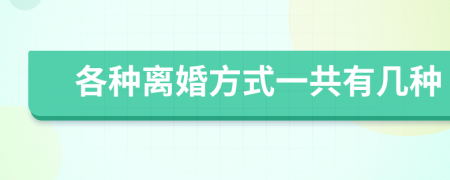 各种离婚方式一共有几种
