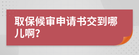 取保候审申请书交到哪儿啊？
