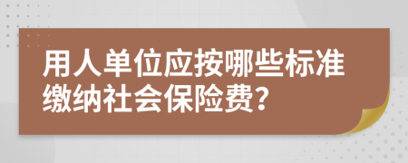 用人单位应按哪些标准缴纳社会保险费？