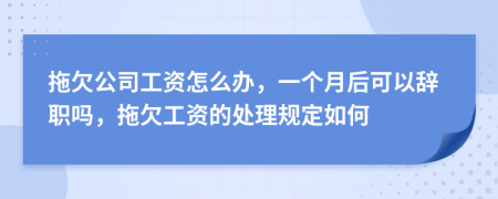 拖欠公司工资怎么办，一个月后可以辞职吗，拖欠工资的处理规定如何