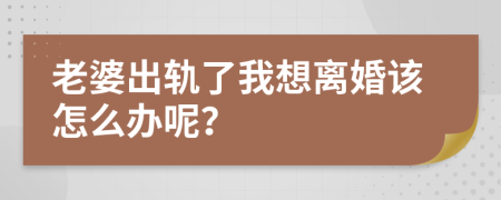 老婆出轨了我想离婚该怎么办呢？