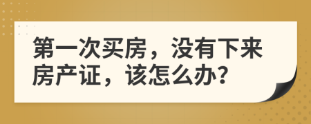 第一次买房，没有下来房产证，该怎么办？