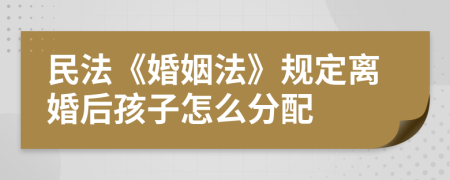 民法《婚姻法》规定离婚后孩子怎么分配