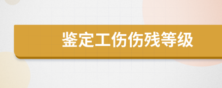 鉴定工伤伤残等级