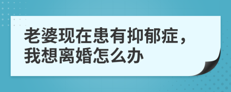 老婆现在患有抑郁症，我想离婚怎么办