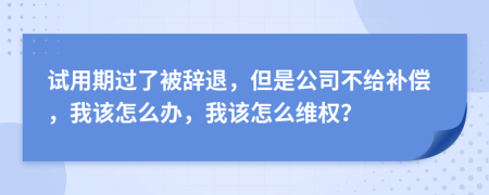 试用期过了被辞退，但是公司不给补偿，我该怎么办，我该怎么维权？